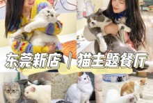 以大廚貓咪出裝攻略為主題的詳細分析（精心選擇裝備，讓大廚貓咪成為絕世廚藝大師）