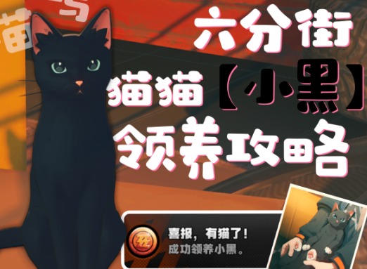絕區(qū)零小黑貓怎么領(lǐng)養(yǎng) 絕區(qū)零領(lǐng)養(yǎng)小黑貓攻略